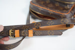 Louis Vuitton Monogram Amazon PM Crossbody Used