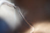 Louis Vuitton Monogram Speedy 25 Handbag Used