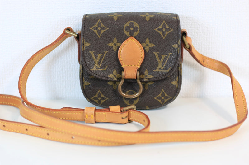 Louis Vuitton Monogram Saint Cloud Bebe Used