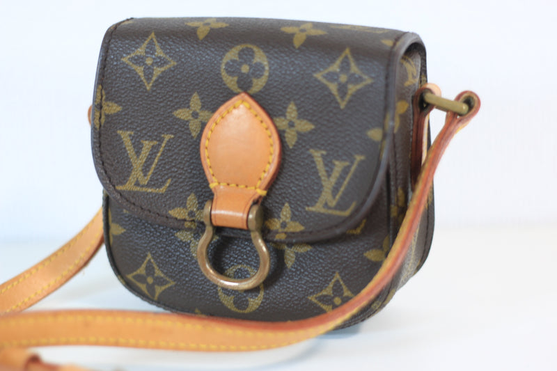 Louis Vuitton Monogram Saint Cloud Bebe Used