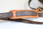 Louis Vuitton Monogram Amazon PM Crossbody Used