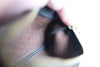 Louis Vuitton Monogram Pochette Accessories Used