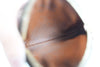 Louis Vuitton Monogram Round Coin Purse Used