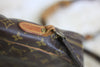 Louis Vuitton Monogram Danube GM Used