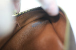 Louis Vuitton Monogram Trocadero 27 Used