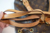 Louis Vuitton Monogram Montsouris MM Backpack Used