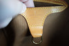 Louis Vuitton Monogram Ellipse PM Handbag Used