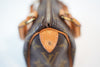 Louis Vuitton Monogram Mini Speedy HL Used